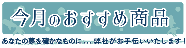 今月のおすすめ