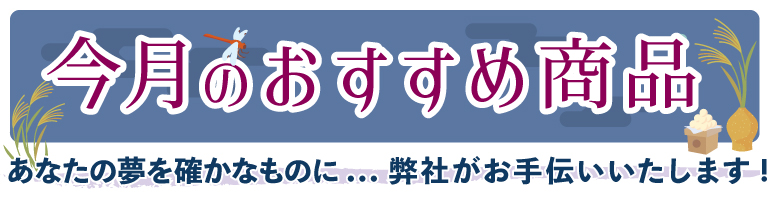 今月のおすすめ