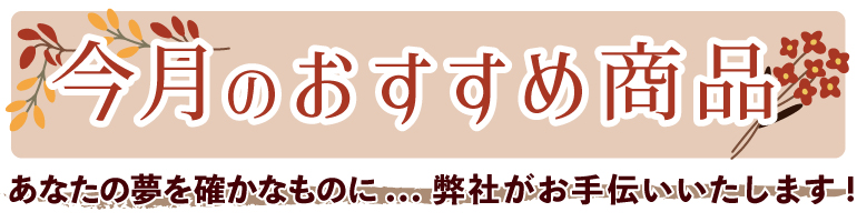 今月のおすすめ