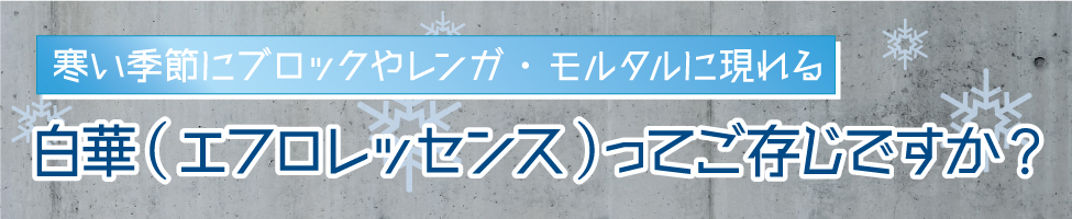 白華をご存じですか？