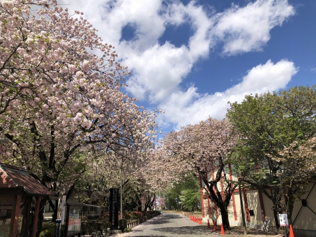 下野市　天平の丘公園